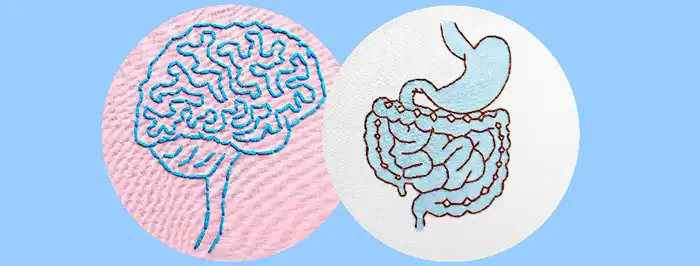 La conexión entre el cerebro y las bacterias intestinales se ha estudiado ampliamente y podría explicar otras enfermedades