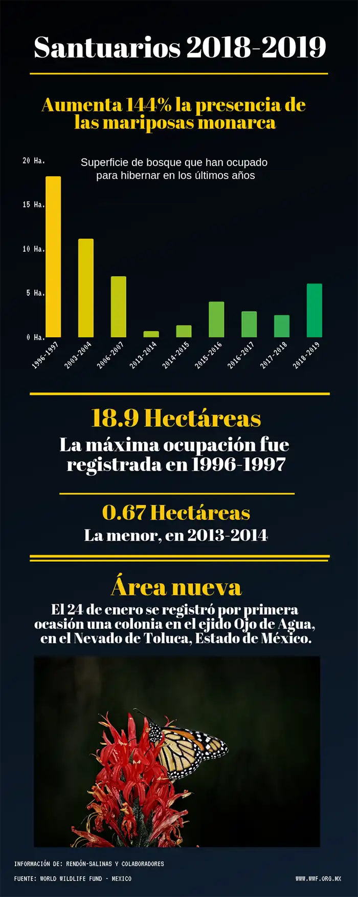 Infografía Mariposa Monarca con datos del WWF México.
