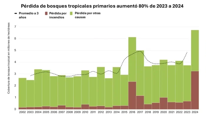 Las pérdidas de bosques no relacionadas con incendios pueden deberse a la tala mecánica para la agricultura o por madera, así como a causas naturales como los daños causados por el viento y la erosión fluvial. El promedio móvil trienal podría ofrecer una visión más precisa de las tendencias de los datos debido a la incertidumbre en las comparaciones interanuales.